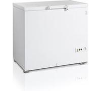 Congélateur Coffre FR305 TEFCOLD