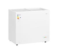 Royal Catering RCFGDF-200 Congélateur 200 l avec portes en verre verrouillables Grand format