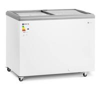 Congélateur vitré 280 L verrouillable - Royal Catering Congélateur professionnel