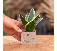 Congreetz® plantpots + Sansevieria | Ik hou van jou