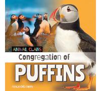 Congregation of Puffins