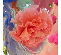 Conic Rose – Heller Tag – CD
