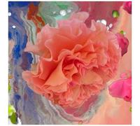 Conic Rose - Heller Tag [Compact Discs]