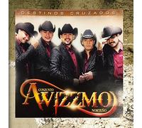 Conjunto Avizzmo Norteño - Destinos Cruzados