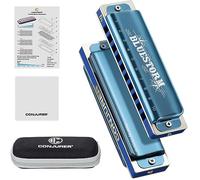 CONJURER Harmonica blues pour adultes enfants débutants, harmonica diatonique 10 trous 20 tons en clé Db, anches en cuivre phosphoreux, bonne qualité sonore, convient au folk, au jazz, etc