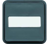 Conmutador con portaetiquetas e indicador luminoso, gris