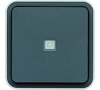 Conmutador con testigo, gris