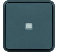 Conmutador con testigo, gris