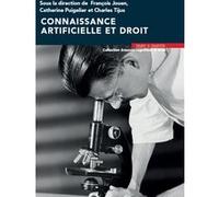 Connaissance artificielle et droit François Jouen (Auteur), Catherine Puigelier (Auteur), Charles Tijus (Auteur)