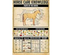 Connaissances en soins des chevaux Pierres en aluminium Connaissances Signes en métal en étain Pierres du zodiaque Affiches infographiques Guide de référence sur les pierres Décoration murale p