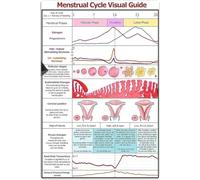 Connaissances menstruelles Panneaux métalliques Guide visuel du cycle menstruel Affiches en étain Infographie physiologique féminine Plaques Maison Filles Chambre Clinique Décoration murale 12x8 pouc