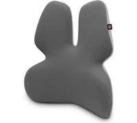 CONNECT IT FOR HEALTH GamaPro Support lombaire anatomique pour chaise, GRIS
