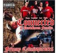 Connected of Darkroom Familia - Felony Consequences