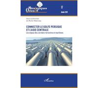 Connecter le golfe Persique et l’Asie centrale: Les enjeux des corridors terrestres et maritimes
