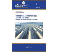 Connecter le golfe Persique et l’Asie centrale Les enjeux des corridors terrestres et maritimes - Michel Makinsky - L'harmattan - broché - Etude