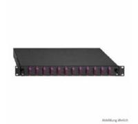 Connecteur Basic Line - SC duplex Panneau de raccordement avec fibres optiques 12 x SC-D OS2 blau