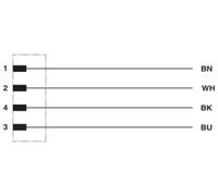 Connecteur confectionné pour capteurs/actionneurs Phoenix Contact SAC-4P-M12MS/ 5,0-800 1457034 5.00