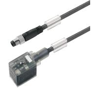 Connecteur confectionné pour capteurs/actionneurs Weidmüller SAIL-VSBD-M8G-3-1.5U 1099770150 mâle 5.00 m Nombre de pôles: 3