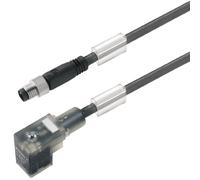 Connecteur confectionné pour capteurs/actionneurs Weidmüller SAIL-VSC-M8G-0.8U 1309680080 mâle 1.50 m Nombre de pôles: 3 1 pc(s)