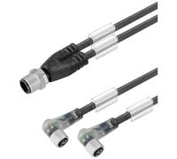 Connecteur confectionné pour capteurs/actionneurs Weidmüller SAIL-ZW-M8BW-3L5.0V 1466370500 2.00 m Nombre de pôles: 3 1 pc(s)