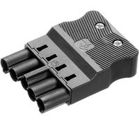 Connecteur dalimentation série (connecteur réseau) AC Adels-Contact AC 166 GSTF/ 525 18004 mâle, droit Nbr total de pôles: 4 + PE 16 A noir 1 pc(s)