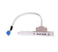 Connecteur de câble d'en-tête de carte mère, câble d'extension ABS 9 broches avec deux interfaces USB pour système de bureau, extension de composant du panneau arrière