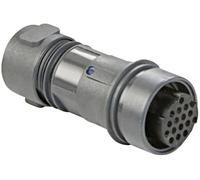\ Connecteur de câble mâle série Buccaneer 6000 Bulgin Buccaneer 6000 PXP6011/03P/CR/0507 1 pc