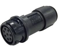 \ Connecteur de câble mâle série Flex-In-Line Buccaneer 4000 Bulgin Buccaneer 4000 PXP4011/08P/6065 1 pc