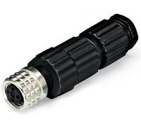 Connecteur de câble pour capteur/actionneur 3 pôles femelle droit M8 Contenu: 5 pc(s) WAGO WAGO GmbH & Co. KG
