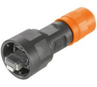 Connecteur de données pour capteurs/actionneurs Weidmüller IE-PS-V01P-RJ45-TH 1012470000 mâle, droit 10 pc(s)