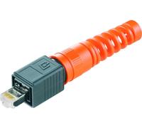Connecteur de données pour capteurs/actionneurs Weidmüller IE-PS-V04P-RJ45-TH-BP 1963190000 mâle, droit 10 pc(s)
