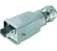 Connecteur de données pour capteurs/actionneurs Weidmüller IE-PS-V05M-RJ45-FH 1963200000 mâle, droit 10 pc(s)