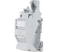 Telegärtner Prise réseau profilée 100023003 CAT 6a Gris clair