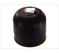 Connecteur de sonde lambda 4183NP25 69062 CONTINENTAL CTAM
