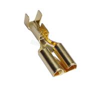 Connecteur de Terminal barbelé en Laiton pressé à Froid, Type DJ623-E6.3B Type 250, doré/argenté, Plaque Plate à Ressort de 6.3mm(Golden,50 Pcs)