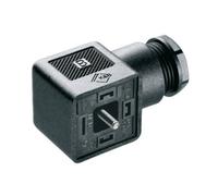 Connecteur d'électrovanne enfichable Weidmüller SAIB-VSA-4P/250/11-OB 1873100000 1 pc(s)