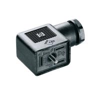 Connecteur d'électrovanne enfichable Weidmüller SAIB-VSB-3P/250/9-OB 1873170000 1 pc(s)