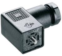 Connecteur délectrovanne enfichable Weidmüller SAIB-VSC-4P/250/7-OB 1873210000 1 pc(s)