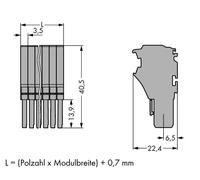Connecteur femelle 1 conducteur WAGO 2020-113 10 pc(s)