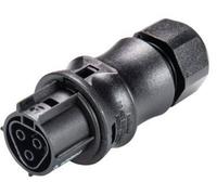 Connecteur femelle Rst20I3 D6-10mm Wieland 96.031.0053.1