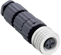 Connecteur M8 confectionnable pour capteurs (MiniQuick) Hirschmann ELKA 3008 V 933 366-100-1 noir (Ø x L) 13 mm x 43.5 mm 1 pc(s)