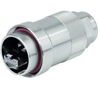 Connecteur mâle TOC IP68 Telegärtner J60026A0000 RJ45 mâle, droit métal 1 pc(s)