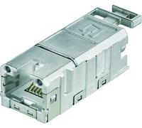 Connecteur non confectionné pour capteurs/actionneurs Weidmüller IE-BI-RJ45-FJ-A 1962850000 Insert mâle RJ45 10 pc(s)