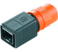 Connecteur non confectionné pour capteurs/actionneurs Weidmüller IE-PH-V04P 1962520000 Boîtier mâle RJ45 10 pc(s)