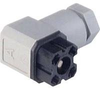 Connecteur pour tension secteur de série G Hirschmann G 30 W 3 F 935 980-003-1 gris Pôle:3 + PE 1 pc(s)