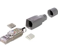 Connecteur RJ45 IP20 - CAT5e - type FM45 LAPP 21700540 Contenu: 1 pc(s)