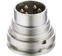 Connecteur rond DIN embase mâle verticale Lumberg SGV 50/6 Nombre de pôles: 5 argent 1 pc(s)