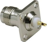 Connecteur TNC embase femelle, contacts droits à souder BKL Electronic 0405059 50 Ω 1 pc(s)