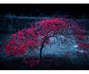 Connecteurs Audio 610127 prise jack, stéréo, plastique, Version, 2,5 mm