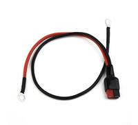 Connecteurs de batterie fiables pour chariots Anderson, longueur 250/400 mm, avec bornes à anneau de 6 mm (250 mm)